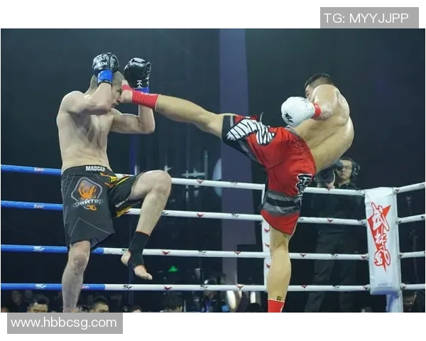 大卫海耶与波维特金巅峰对决谁能称霸拳坛历史之战解析